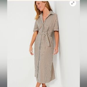 COPY - POMANDER PLACE Brown Gingham Seersucker Zacara Dress